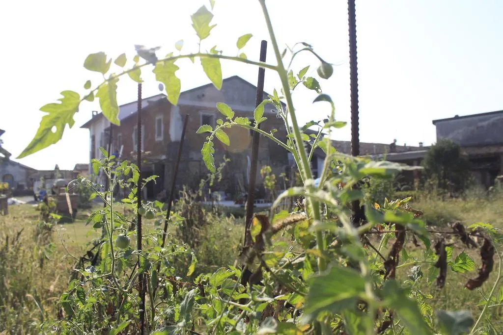 Bed & Breakfast Affittacamere Il Girasole Pontevico Italy