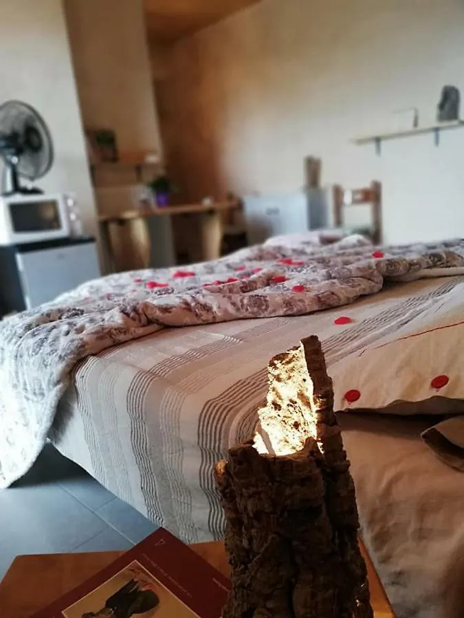 Affittacamere Il Girasole Pontevico Bed & Breakfast