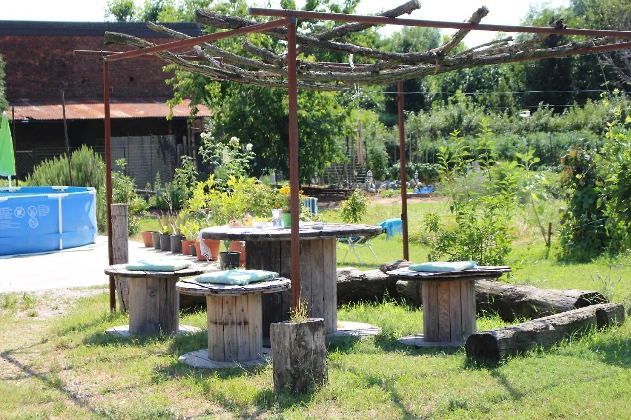 Affittacamere Il Girasole Pontevico 0*,